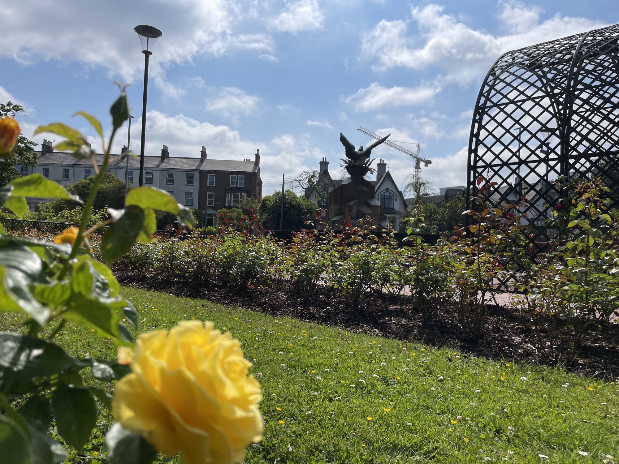 A park in Coleraine with flower beds and an eagle sculpture
